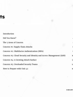 Unit 42 5-security-concerns-for-cisos_page-0002